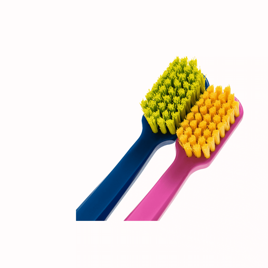 Imagens site Oralprox (16)
